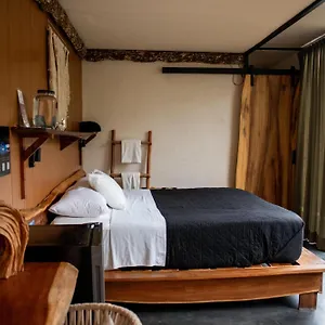 Otel Bufo Alvarius **